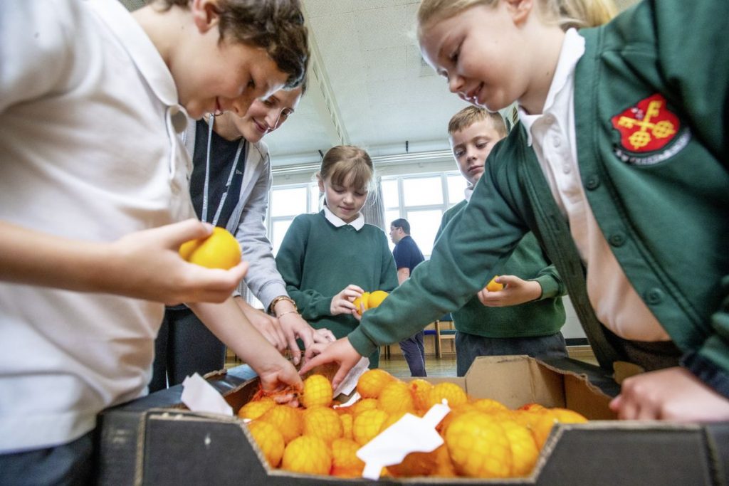 fruit for schools cotils